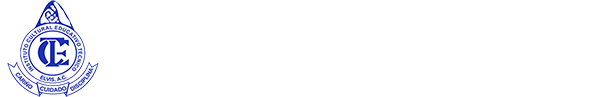 Instituto Cultural Educativo Tecnico Elvis A.C.